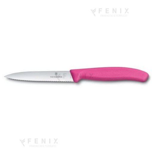 spelucchino rosa dent. 9cm 67636l115