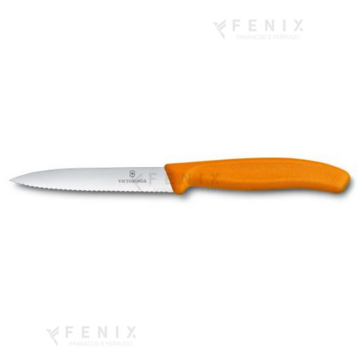 spelucchino arancio dent. 11cm 67736l9