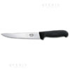 scanno costa dritta victorinox